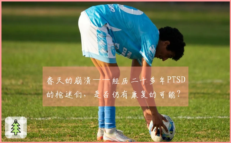 春天的崩溃——经历二十多年PTSD的枪迷们，是否仍有康复的可能？